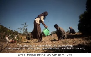 Baumpflege 01, t�glich giessen