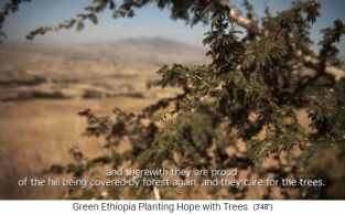 Der Wald von Boreta Gerado
Dengego 04 Der Wald von Boreta
Gerado Dengego 04