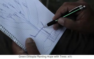 Plan: Der
                        Wald mit seiner Schwammwirkung bewirkt eine
                        Quelle mit Wasserlauf, der mit einer Staustufe
                        gestaut wird