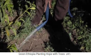 Bew�sserung vom Bach her