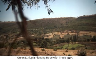 Berghang
                            mit Wald 01