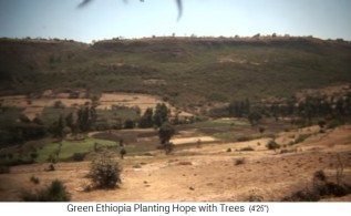 Berghang mit Wald 02 Berghang
mit Wald 02