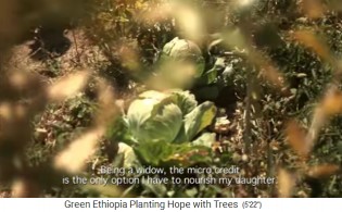 Auf einem Feld w�chst
                      Kohl