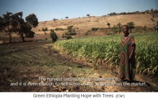 Eine B�uerin vor einem bebauten Feld