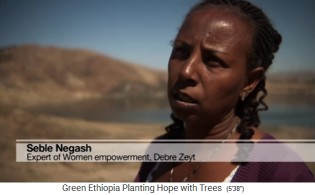 Neble
                      Negash von Debre Zeyt