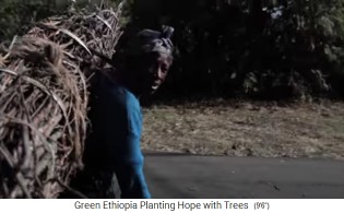 Frauen schleppen Brennholz ca. 30kg auf dem
                      R�cken 04 mit sichtbarer Halsaufh�ngung