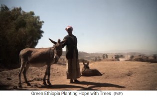 Eine Frau bekommt einen Esel geschenkt