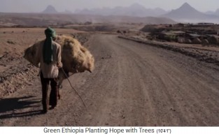 Lastentransport auf einem Esel