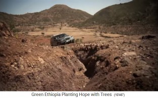 Manche Feldwege sind nur mit
                      einem 4x4 passierbar