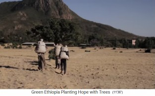 Sogar Kinder m�ssen in �thiopien auf
                        dem Land schwere Lasten tragen, mit
                        Halsaufh�ngung 02