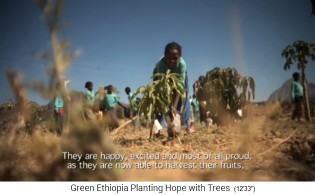 Eine Sch�lerin giesst ihren Baum
                              02