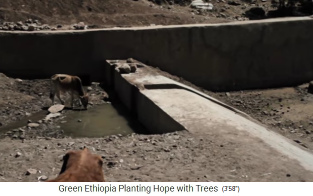 Die Staustufe bei
                        Niedrigwasser, so dass man die Staustufe sieht