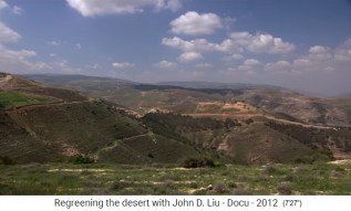 Jordanien, magere Grasb�den und etwas Wald