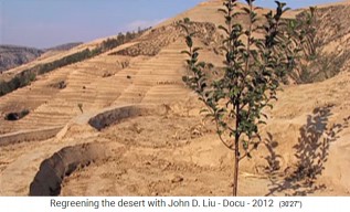 China L�ssplateau, Terrassen mit D�mmen 02