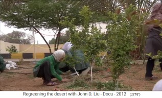 Permakulturgarten in Jordanien, es wird Mull
                      auf die Gem�sefelder gelegt 02