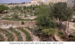 Jordanien, Permakulturgarten
                      mit Streifenfeldern