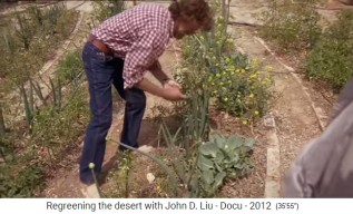 Permakulturgarten in
                    Jordanien, die Streifenfelder 04