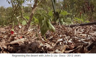 Jordanien Permakulturgarten, es
                    wurde Mull gelegt 02