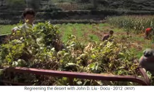 China L�ssplateau, beste Ernte, Stand 2012