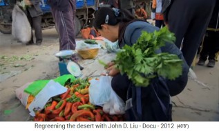 China Lössplateau, Markt 02 mit Chili
und Salat China Lössplateau, Markt 02
mit Chili und Salat