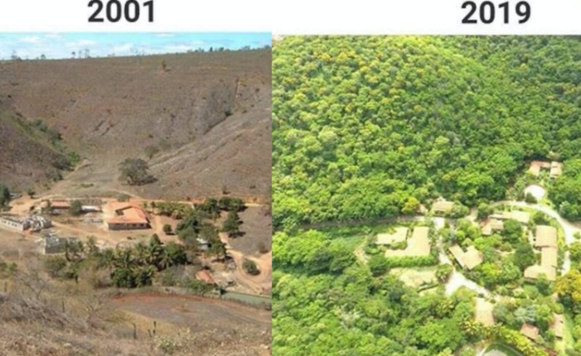 Farm Bulcão von Salgado 2001 und 2019 wieder
aufgeforstet Farm Bulcão von Salgado 2001 und
2019 wieder aufgeforstet