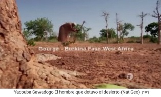 Yacouba Sadabogo in Gourga (Burkina
                    Faso) hackt Erdl�cher in den harten Erdboden, um
                    B�ume zu pflanzen