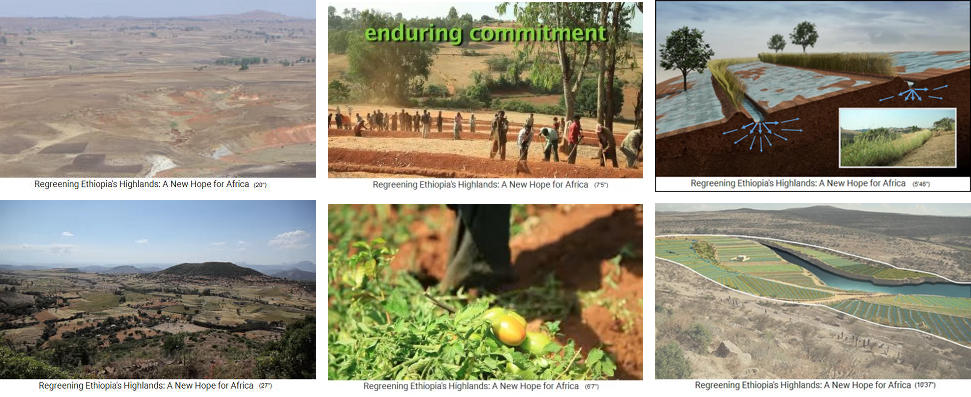 Äthiopien, die Hochebene war bis
2005 eine Wüste und wurde in weniger als
10 Jahren grün und fruchtbar mit Dämmen,
Gräben, Wiesenschutz, Vieh bei der Farm,
Wald, Wasserfurchen und Teichen etc. Äthiopien, die Hochebene war bis 2005
eine Wüste und wurde in weniger als 10
Jahren grün und fruchtbar mit Dämmen,
Gräben, Wiesenschutz, Vieh bei der Farm,
Wald, Wasserfurchen und Teichen etc.