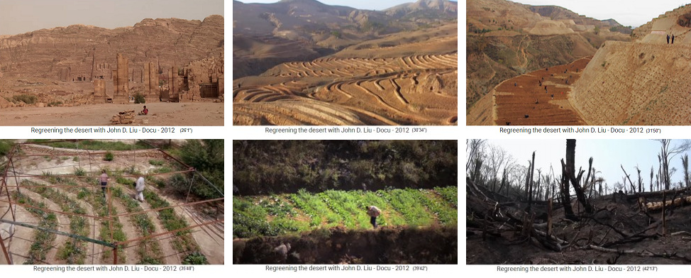 Ruinenstadt Petra in
                                Jordanien: Auch diese Felsw�ste kann man
                                regenerieren - China L�ssplateau:
                                Terrassen mit D�mmen und Gr�ben -
                                Terrassen mit Querd�mmen (Permakultur) -
                                Permakulturgarten in Jordanien - China
                                L�ssplateau: Permakultur mit Querd�mmen
                                auf grossen Terrassen des L�ssplateaus -
                                Brandrodung in Bolivien, dort haben
                                Regierung und Bev�lkerung noch kein
                                Wissen �ber �kokreisl�ufe und
                                Permakultur