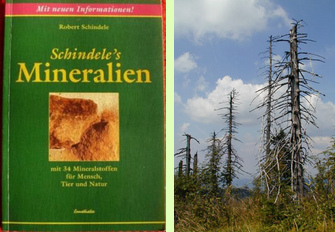 Das Buch "Schindeles
                            Mineralien" schildert die Vorg�nge beim
                            Waldsterben