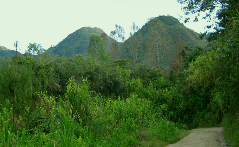 Regenwald mit t�glich Regen hat die
                              sauberste Luft (Peru Region Oxapampa)