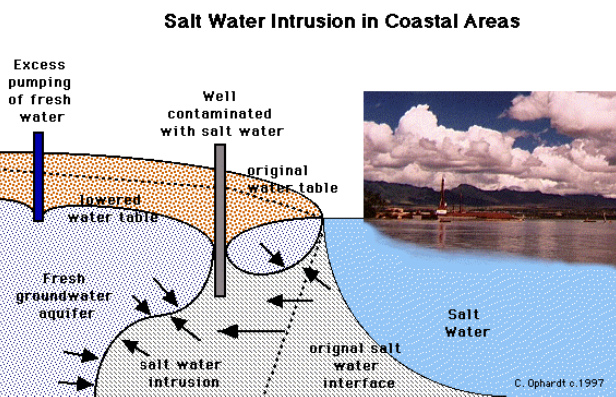 Schema
Salzwasser mit Grundwasser 09, der Grundwasserbrunnen ist
versalzen, Bildung einer Grundwasserblase zwischen Brunnen
und Küste Schema Salzwasser mit Grundwasser 09, der
Grundwasserbrunnen ist versalzen, Bildung einer
Grundwasserblase zwischen Brunnen und Küste