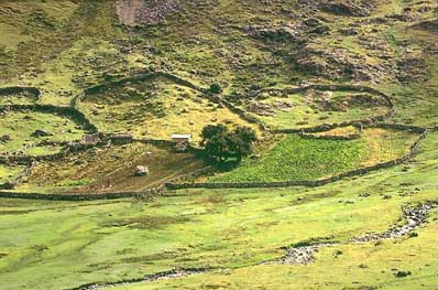 Steinmauern in den Hocht�lern von
                        Lateinamerika: Steinmauern grenzen Felder ab,
                        die gleichzeitig kleinen Tieren Schutz und
                        Unterschlupf bieten