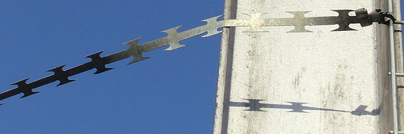 Klingendraht /
                              NATO-Draht / Widerhakensperrdraht /
                              Bandstacheldraht, Nahaufnahme