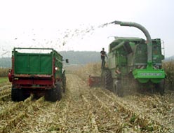 M�hdrescher f�r Mais (Maisdrescher)
                        mit Spindelwerfer der
                        rassistisch-darwinistischen Killer-Industrie,
                        verbunden mit B�rsenkursen, wo Tiere und Erde
                        keine Rechte haben