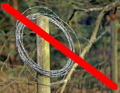 Stacheldrahtrolle an Holzpflock