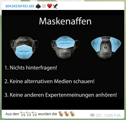 Die
                  3 Maskenaffen im Corona19-Terror