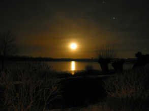 Mondschein, z.B. an
einem dänischen Fjord Mondschein, z.B. an einem
dänischen Fjord
