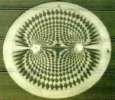 Kornkreis: Magnetfeld - crop circle:
magnetic field Kornkreis: Magnetfeld - crop circle: magnetic
field