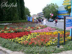 Blumenbeet, z.B. in Siofok, Ungarn