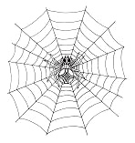 Keltisches Mandala: Das Spinnennetz h�lt
                          die Welt zusammen