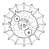 Tiermandala: Schalenam�be im Moor