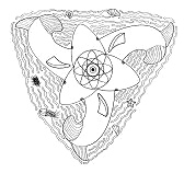 Tiermandala: Wale als Symbol der
                          Verbindung zwischen Wasser und Land