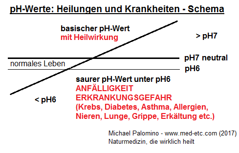 Das Schema mit dem pH-Wert: Unter pH6 herrscht hohe Anf�lligkeit f�r Krankheiten, zwischen pH6 und pH7 f�r das normale Leben kaum, pH7 ist neutral, und �ber pH7 herrscht heilende Wirkung, Krebs heilt bei pH8