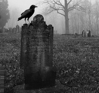 L�pida con p�jaro cuervo en la niebla