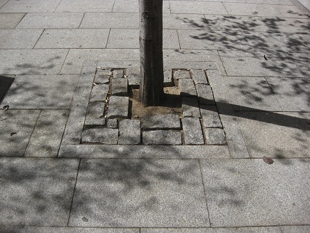 Baumrabatte mit
                    grossen Pflastersteinen ohne Verfugung (Avenida
                    Alfonso IX)