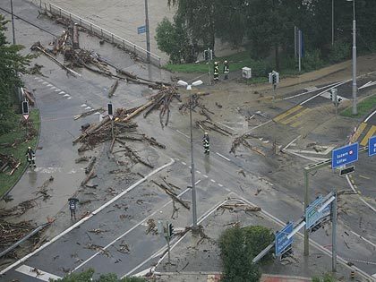 Entlebuch
(Switzerland): Driftwood on a crossing after the
flood was going down (August 2005) Entlebuch (Switzerland):
Driftwood on a crossing after the flood was
going down (August 2005)