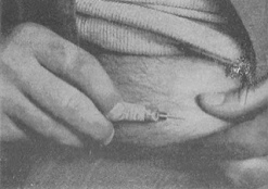 Morphium-Syrette zum Ausdrücken Morphium-Syrette zum Ausdrücken