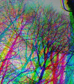 LSD-Trip mit
              Farbverschiebungen