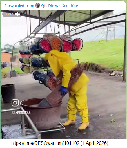 Von HustleBitch am 1.4.2026: Pestizide zur
Behandlung von Blumen vor dem Export -
GartenarbeiterInnen im Schutzanzug Von
HustleBitch am 1.4.2026: Pestizide zur Behandlung von
Blumen vor dem Export - GartenarbeiterInnen im
Schutzanzug