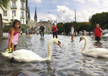 Hochwasser
                        Schweiz 2005 in Luzern: Schw�ne im Hochwasser am
                        Schweizerhofquai, im Hintergrund die Hofkirche;
                        flood, inondation